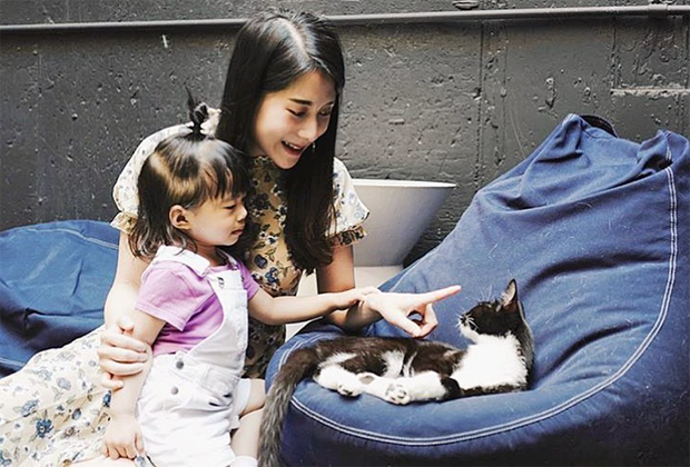 Best coffee shops in NYC: Koneko Cat Cafe