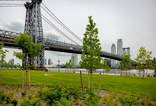 East River Park Upgrade: Williamsburg Bridge