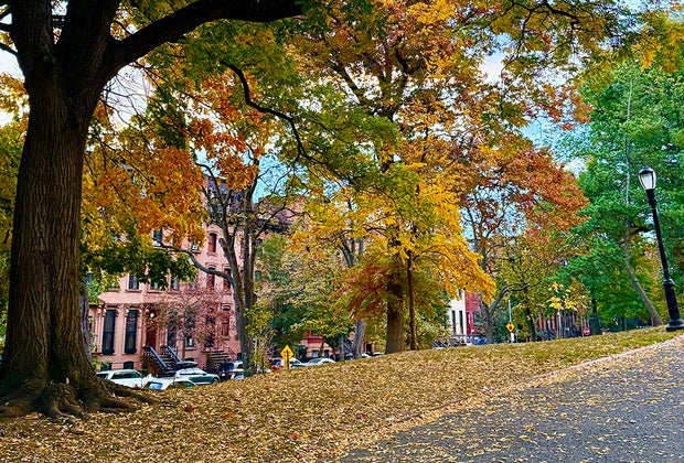Fort Greene History Walking Tour: Fort Greene, Brooklyn with Kids