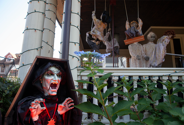 Ditmas Park Halloween Decorations