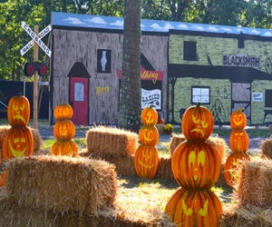 All aboard the Trick-or-Treat Train at DiDonato Family Fun Center. Photo courtesy of DiDonato's