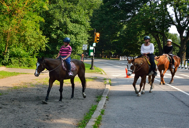 Be Brooklyn Equine at Prospect Park Stable: Horseback Riding in NYC