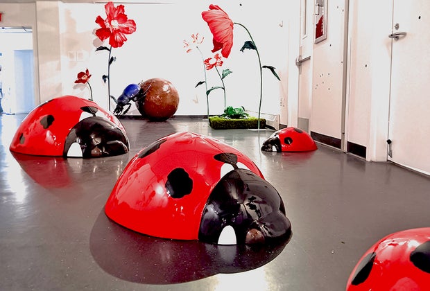 Exploring Imaginari Exhibit: ladybugs