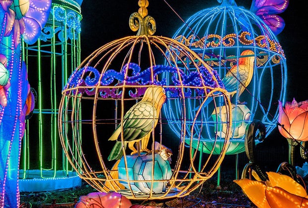 Lantern Festivals Long Island