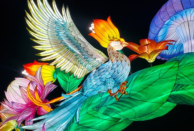 Luminosa Light Show at Queens Botanical Garden