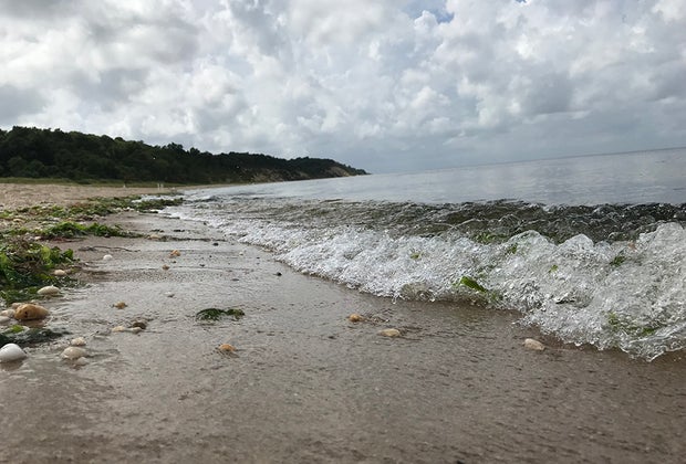 shoreline at Sunken Meadow State Park