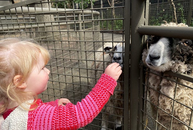 My Perfect Day in NYC: Central Park Zoo