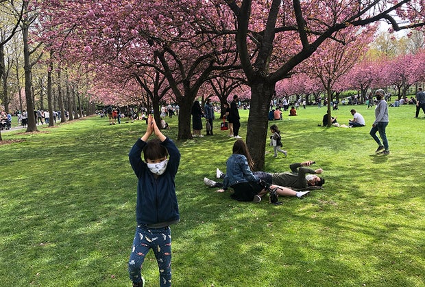 Cheap things to do in NYC: Brooklyn Botanic Garden