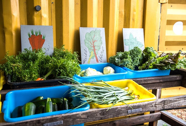 Rockaway Beach with Kids: Edgemere Farm