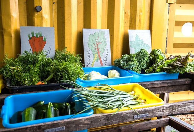 Rockaway Beach with Kids: Edgemere Farm