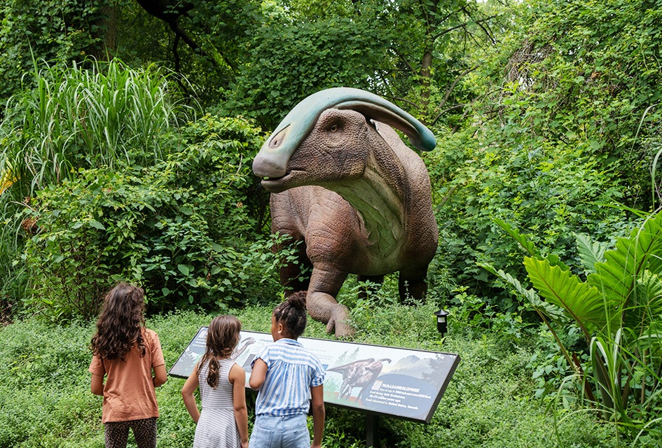 Dinosaur Safari returns to the Bronx Zoo this spring. Photo courtesy of the zoo