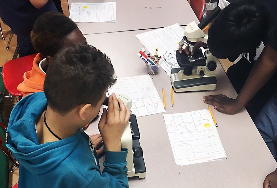 Choose from a wide range of STEAM programs during the STEAM Matters summer programs. Photo courtesy of the NYC DOE