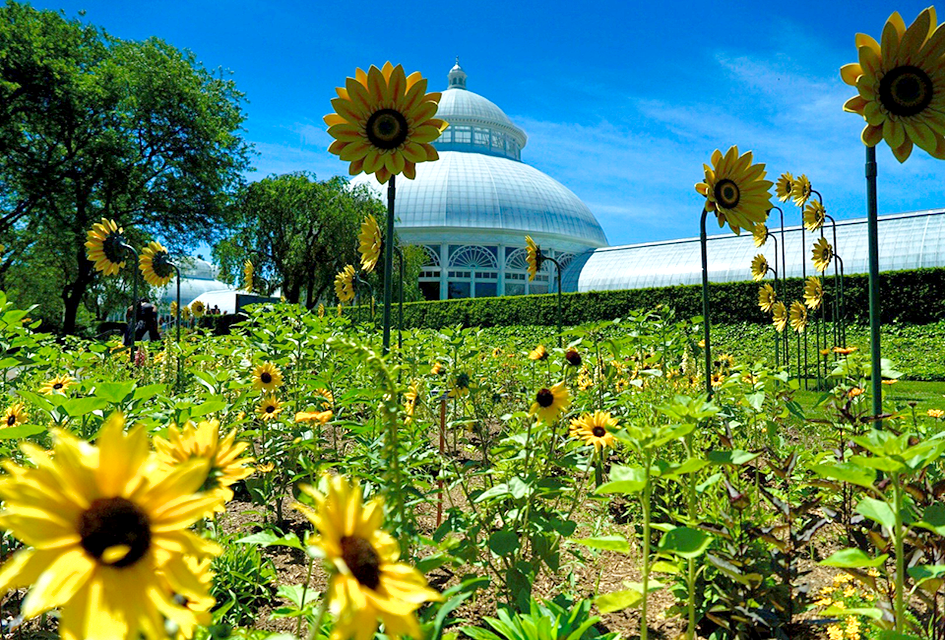 The New York Botanical Garden's floral show Van Gogh's Flowers is inspired by the genius of the iconic artist Vincent van Gogh. Photo by Jody Mercier