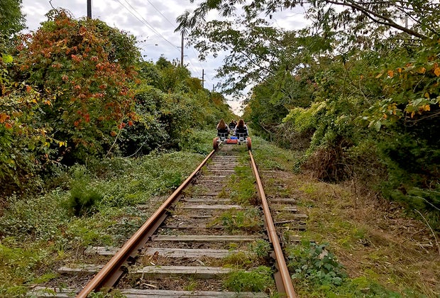 Revolution Rail Co.: Unique ways to see fall leaves NYC