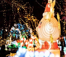 The NYC Winter Lantern Festival on Staten Island is an immersive wonderland of lights. Photo courtesy of the festival