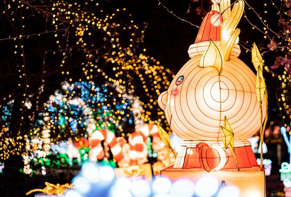 The NYC Winter Lantern Festival on Staten Island is an immersive wonderland of lights. Photo courtesy of the festival