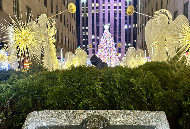 Christmas towns near NYC: Rockefeller Center Christmas Tree