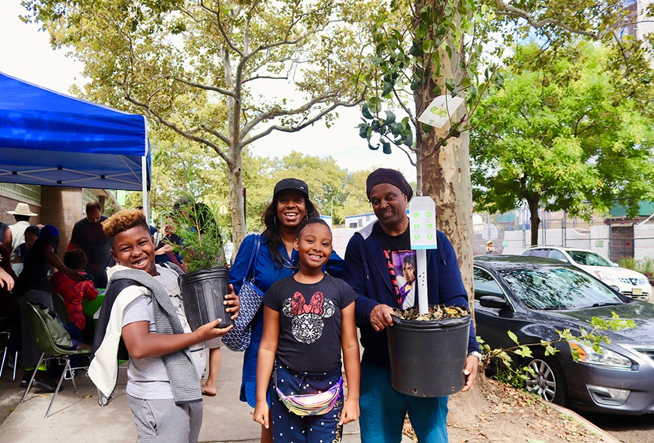 Register now to claim a FREE tree from NYRP's annual tree giveaway program, which returns after a pandemic-induced hiatus.