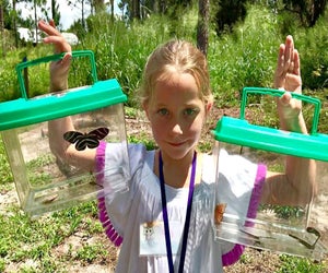 Go on an insect safari at the Oakland Nature Preserve. Photo courtesy of the preserve