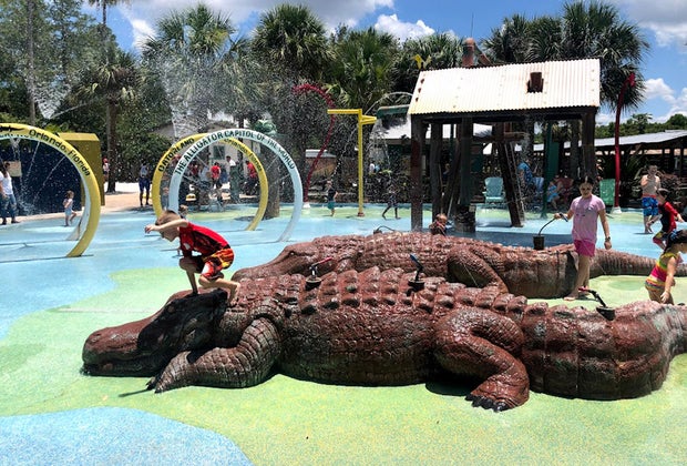 Splash pad at Gatorland Orlando 3 Day Itinerary From a Local