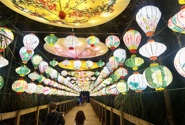 Asian Lantern Festival.