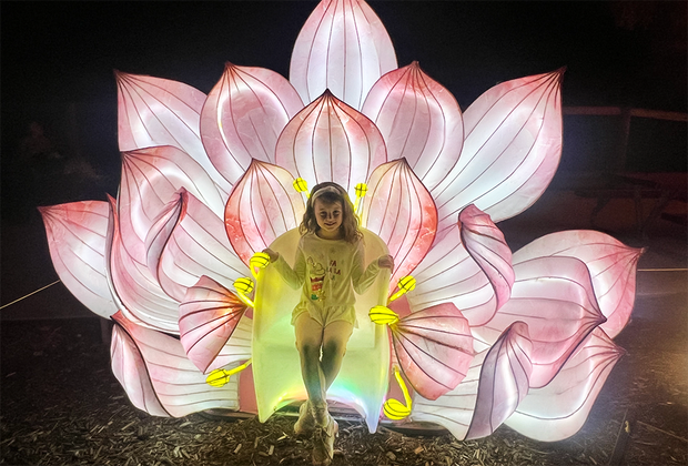 Asian Lantern Festival.