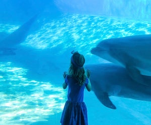 Preschoolers explore the wonders of the seas at SeaWorld Orlando.