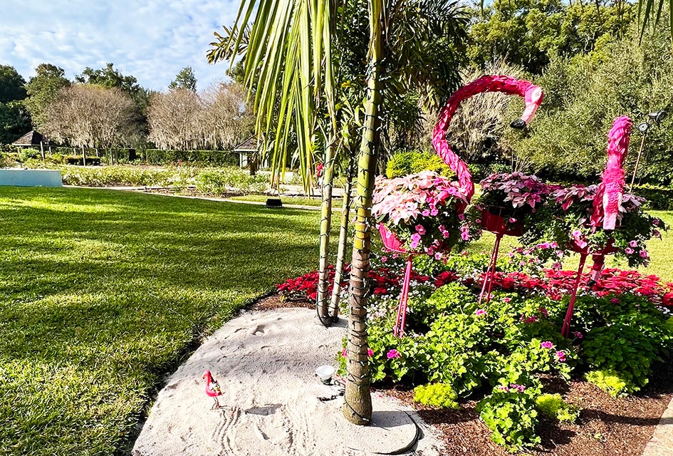 On Monday, March 4, Leu Gardens offers FREE admission to everyone. Photo by the author