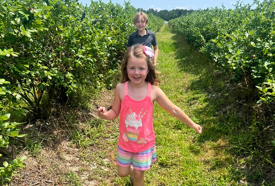Kids can pick blueberries and enjoy fun activities at Far Reach Ranch. Photo by author