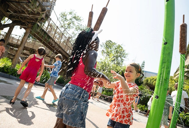 Dreamy New DreamWorks Land at Universal Orlando Resort:Shrek’s Swamp for Little Ogres