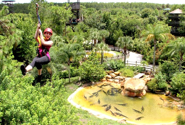 Screamin' Gator Zipline.