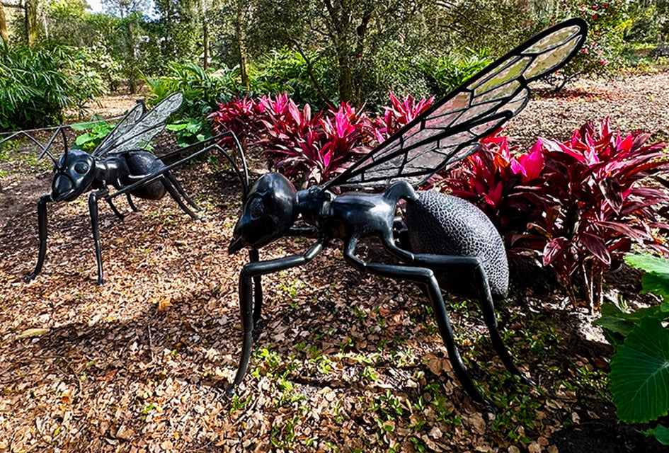 Experience amazing outdoor sculptures of flying insects and birds at Leu Gardens.