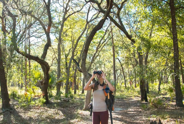 Wekiwa Springs State Park has great hiking trails for young hikers.