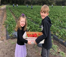 Kids can pick their own strawberries at various u-pick farms.