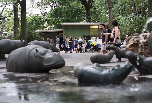 Hippo Playground is one of the top toddler playgrounds in Manhattan