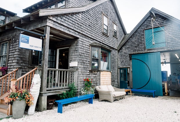 Image of Maria Mitchell Aquarium - Visiting Nantucket with Kids