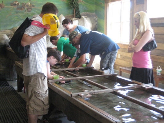 Photo of Jackpot Mine at Discovery Depot in Nature's Place