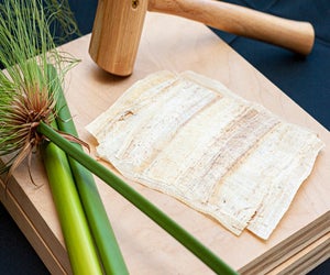 Unrolling the Past: Vesuvius and the Villa dei Papiri. Photo by Manuel Perez/Getty Villa