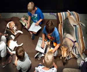 Practice reading with furry friends during the P.A.W.S. Reading Program./Photo courtesy of the Houston Museum of Natural Science.