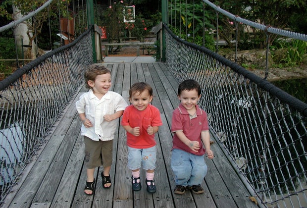 Butterfly World suspension bridge, Coconut Creek, Florida