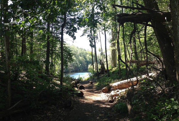 Easy hikes near NYC Pelton Pond in Clarence Fahnestock State Park