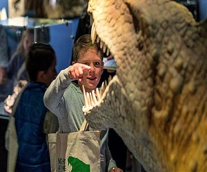 Explore the age of dinosaurs and earlier at the Permian Monsters exhibit. Photo courtesy of The Academy of Natural Sciences