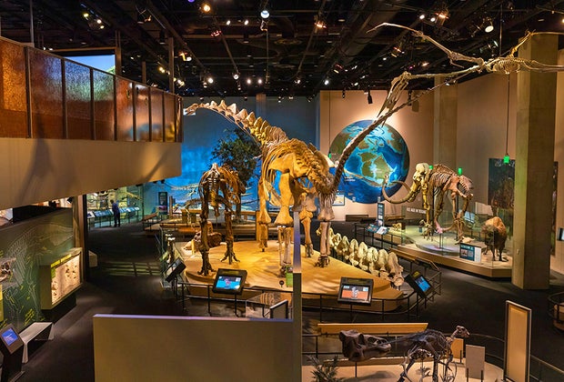 Perot Museum of Nature and Science