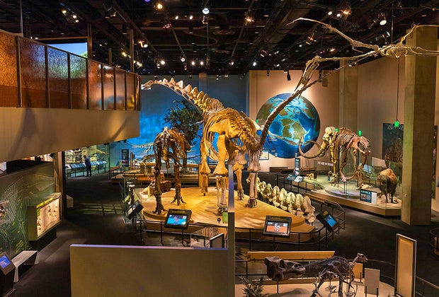 Perot Museum of Nature and Science