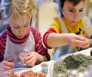 Pay homage to pollinators with Wave Hill's help this weekend. Photo by Joshua Bright