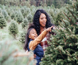 Is it better to chop down a living tree, or reuse a hunk of plastic? We investigated. Photo by Any Lane via Pexels