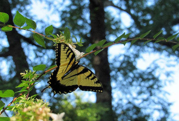 The Garden of the Five Senses Budget Weekend Getaways for Philly Families