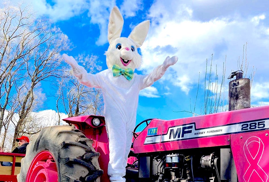 Hayrides to Bunnyland run all day. and remember to pickup your handmade Easter treats at Linvilla Orchards. Photo courtesy of the orchard