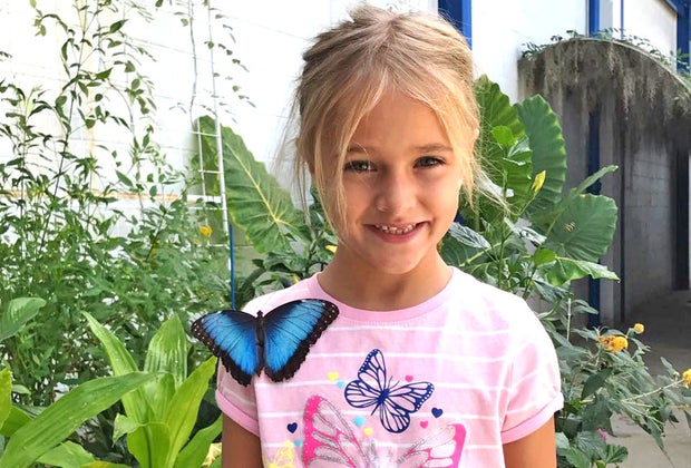 The Philadelphia Insectarium and Butterfly Pavilion Awesome Things to do with Kids in Northeast Philadelphia