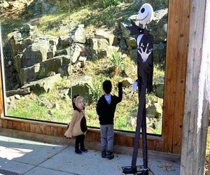 Meet spooky characters and animals at Brandywine Zoo's Boo at the Zoo. Photo courtesy of the zoo